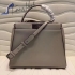 Fendi Bag 037